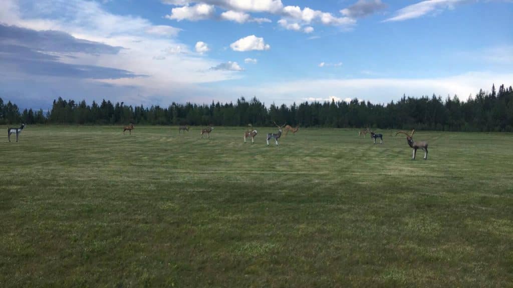 Hinton Fish and game has an outdoor 3d archery range.